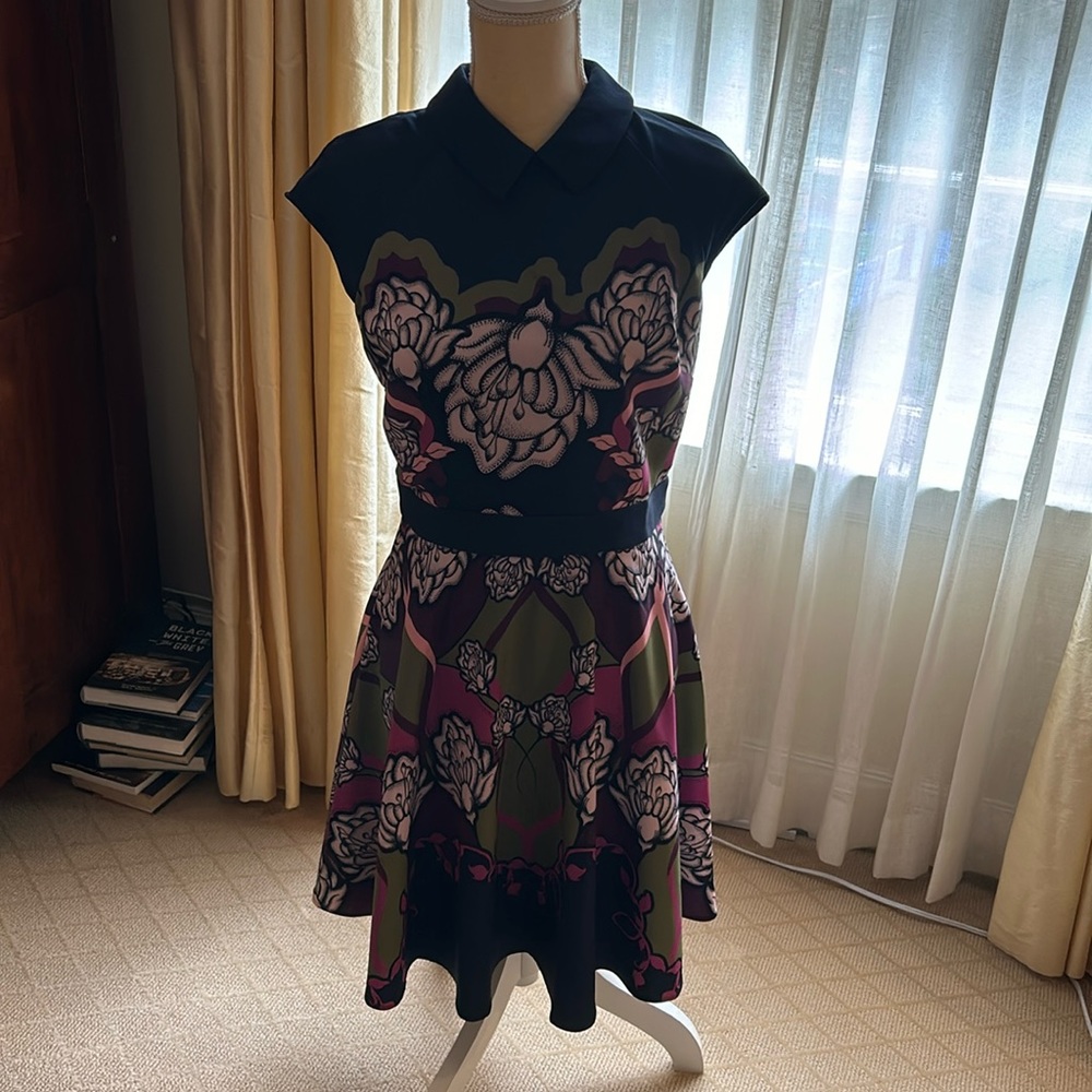 Ted Baker London dress size 3, fits like size 6.